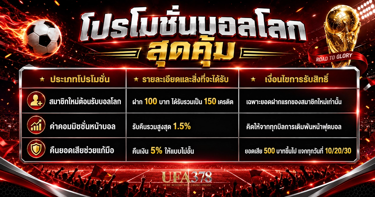 สรุปสิทธิ์ประโยชน์จากโปรโมชั่นล่าสุด
